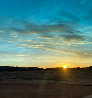 Bronwyn Field 4.jpeg